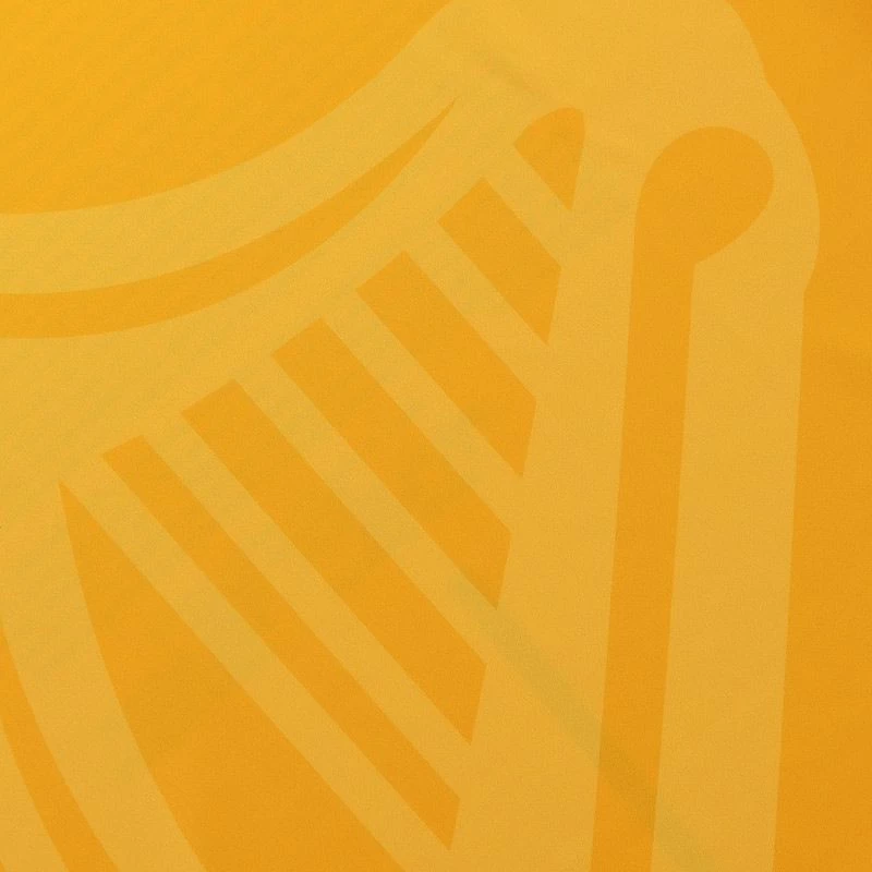 Donegal Player Fit 1916 Remastered Jersey 7 Donegal Player Fit 1916 Remastered Jersey - Image 7