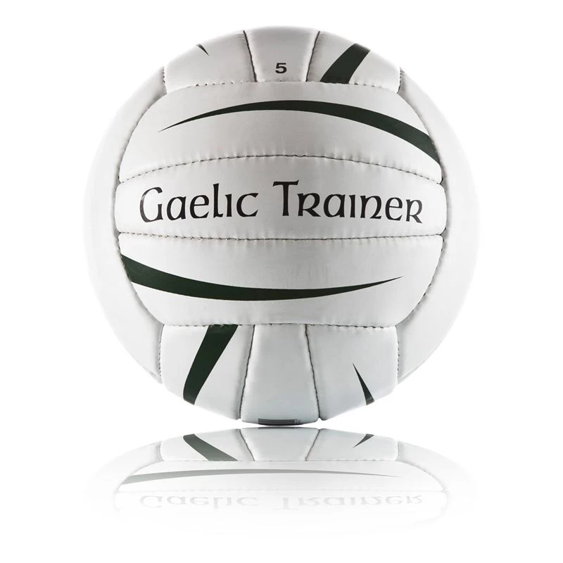 Gaelic Trainer 1 Gaelic Trainer