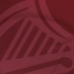 Galway Player Fit 1916 Remastered Jersey -Outdoor Clothing Store galway 1916 commemoration jersey pf 12