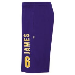 Men's LA Lakers Jump Ball Short Purple -Outdoor Clothing Store k2m1fdkb 000 laklj lebron james lakers a2